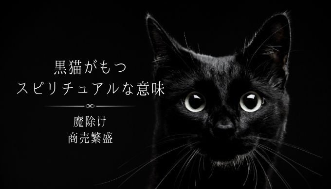 黒猫のスピリチュアルな意味